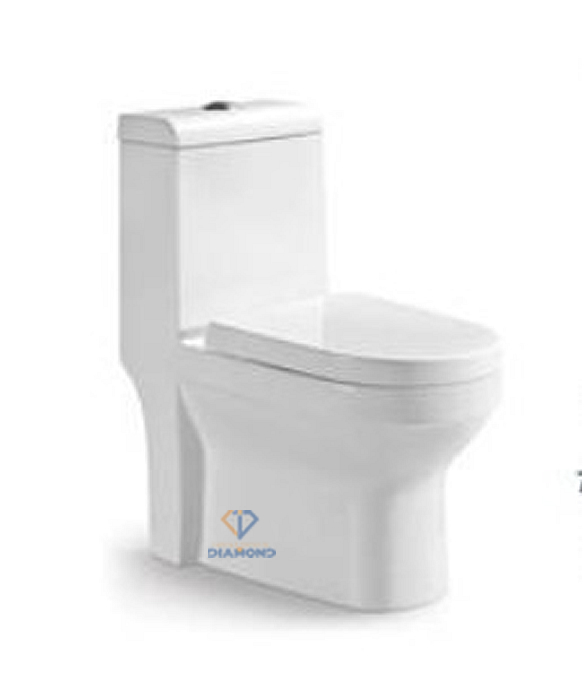 Toilets in Kenya